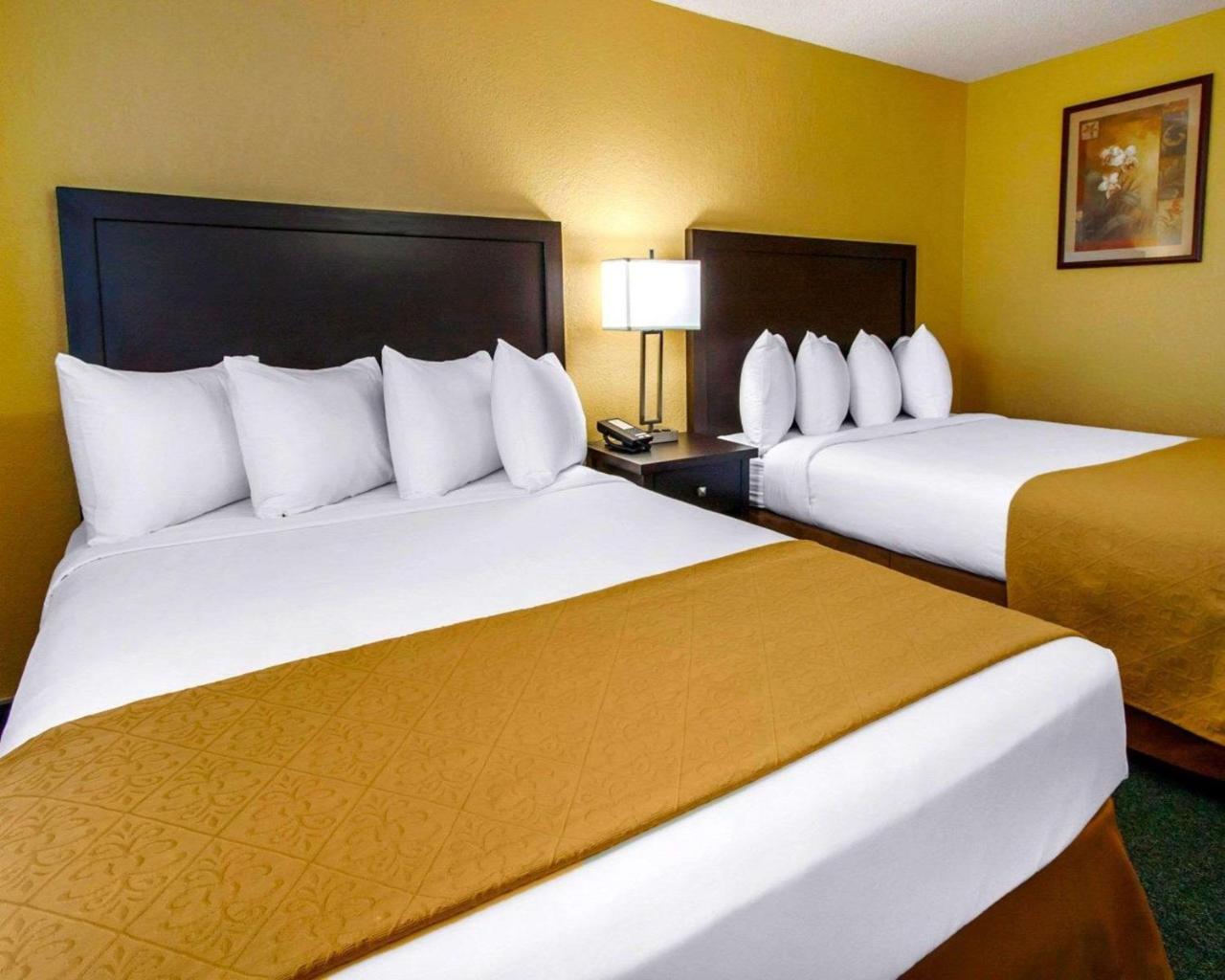 Quality Inn & Suites Springfield Eksteriør billede